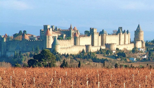 Carcassonne-vignes.jpg